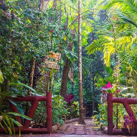 Maitreya Beach Resort Diveāgar 外观 照片